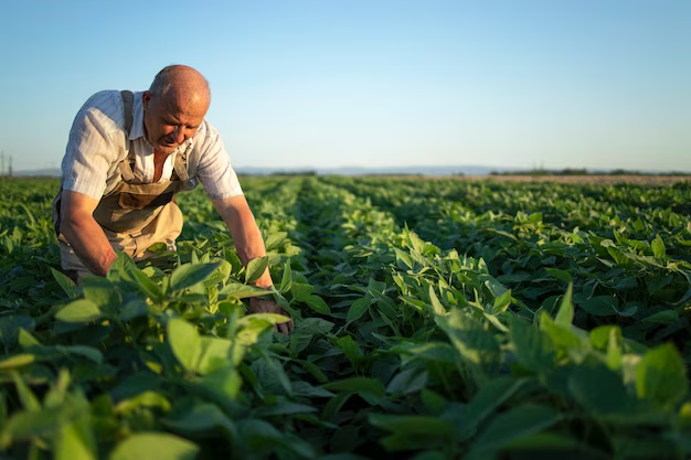 exportation fruits et legumes , fruitnet , Apeks , export fruits and vegetables , the best moroccan exporter , moroccan fruits and vegetables , morocco fruit exports ,Exporting fruits and vegetables in Morocco , exportateur fruits et légumes maroc